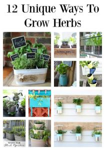 12 Fun, Unique and Budget Friendly Ways to Grow Herbs | Tastefully Frugal