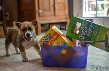 New Puppy Gift Basket