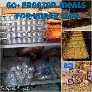 60 Freezer Meals, 3 Days, $300