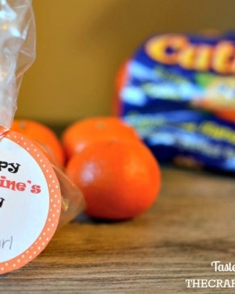 Cutie Valentine with FREE Printable Tags