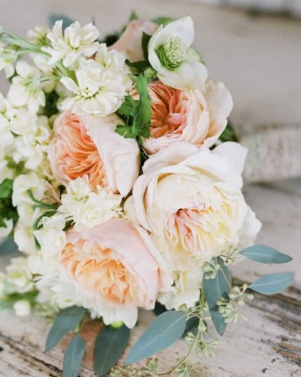 Talented Tuesday #38 Feature