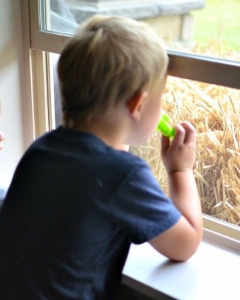 8 Ways To Toddler Proof Your Home 8 Hidden Dangers for Children Inside Your Home and 8 Easy Ways To Toddler Proof Your Home #ad #SafeandStylish #WindowSafety