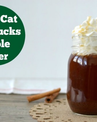 Copy Cat Starbucks Apple Cider | Tastefully Frugal