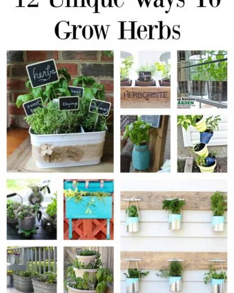 12 Fun, Unique and Budget Friendly Ways to Grow Herbs | Tastefully Frugal