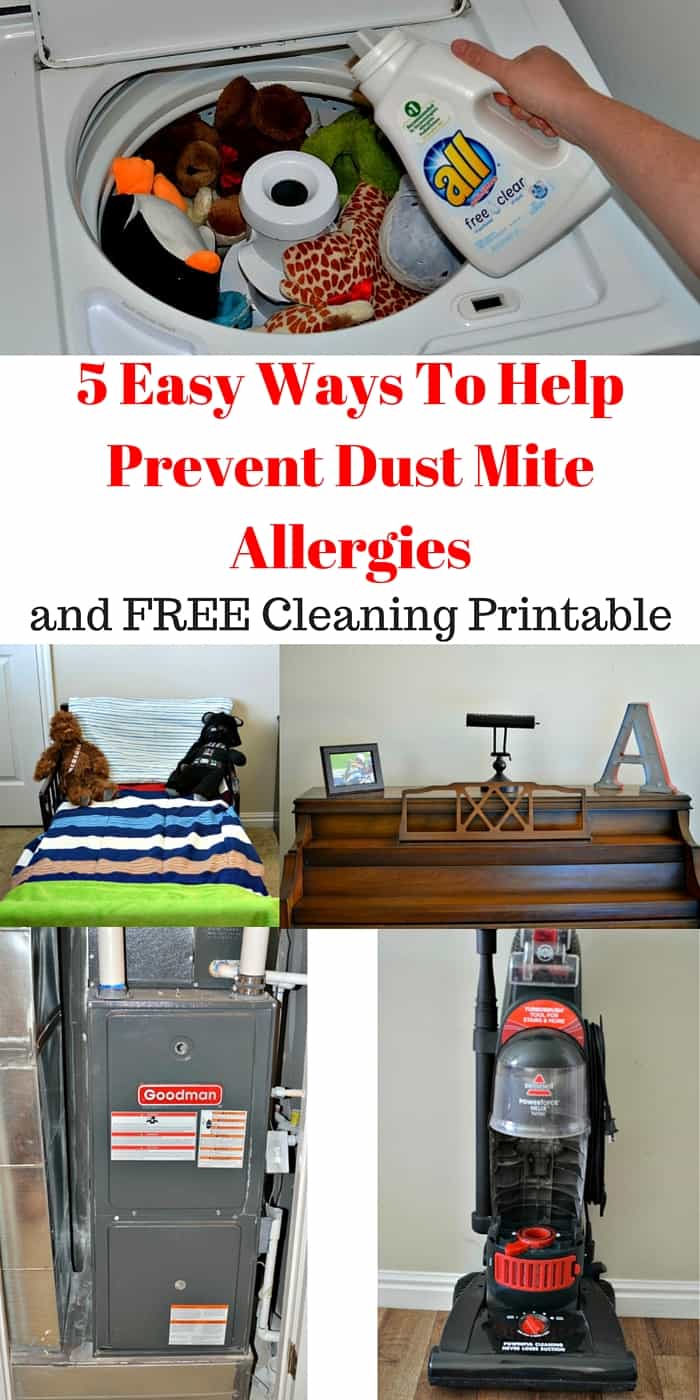 5 Ways To Help Manage Dust Mite Allergies {AND Weekly Cleaning Schedule} Tastefully Frugal