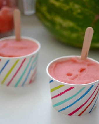 3 Ingredient Watermelon Sorbet 3 Ingredient Watermelon Sorbet: A Healthy, All Natural, Alternative To Ice Cream | Tastefully Frugal