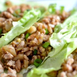 Asian Inspired Turkey Lettuce Wraps: These healthy wraps take less than 20 minutes to make and will have even the pickiest of eaters asking for seconds!