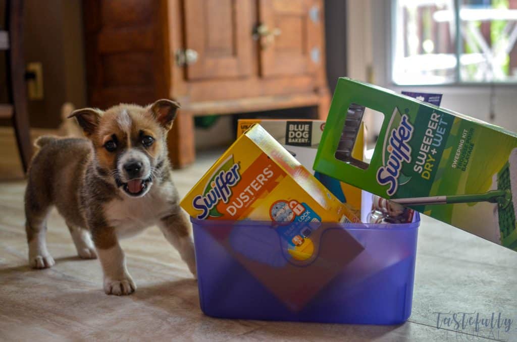 Create this fun and useful gift basket for any new pet owner!