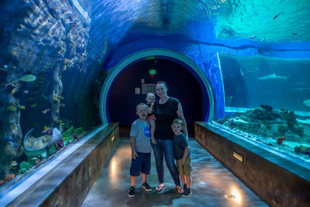 If you're looking for something fun to do with the kids this summer, check out Loveland Living Planet Aquarium. Also download your FREE Aquarium Bingo Game #ad #MoreThanAnAquarium #LLPA