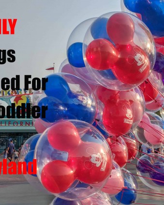 Save your back (and your wallet) by only packing these 5 things for your toddlers when you go to Disneyland