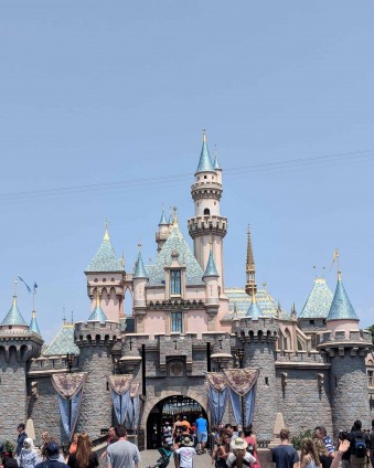 Disneyland Castle Day